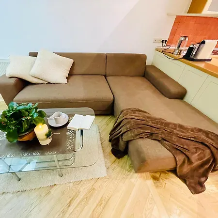 Spacious In Old Town 公寓 里加