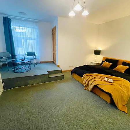 Spacious In Old Town 公寓 里加