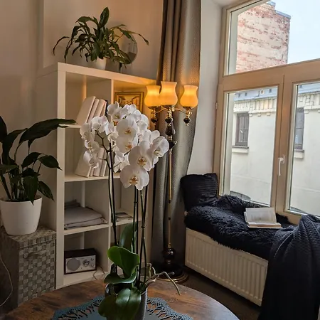 公寓 Spacious In Old Town *