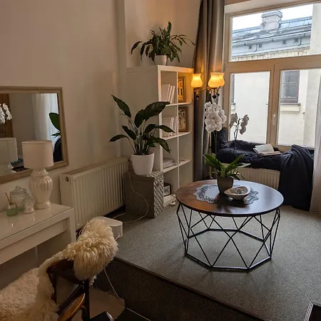 Spacious In Old Town 公寓