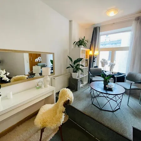 Spacious In Old Town 公寓 *