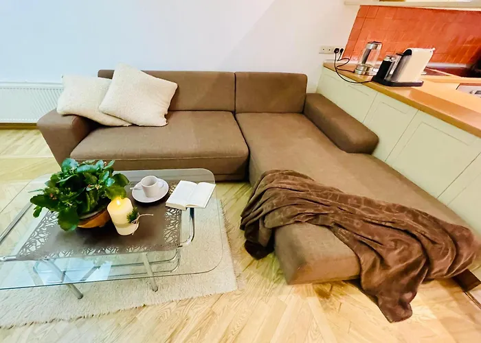 Spacious In Old Town 公寓 里加