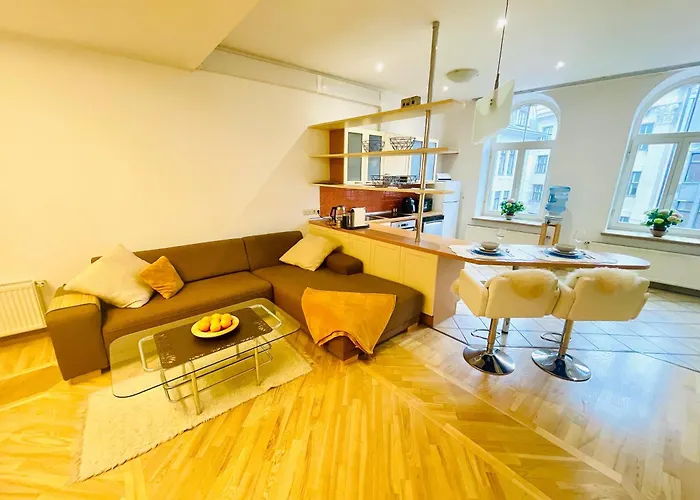 Spacious In Old Town リガ